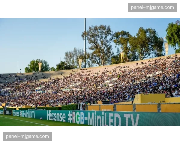 看台创意横幅展示，球迷文化成为欧冠独特风景